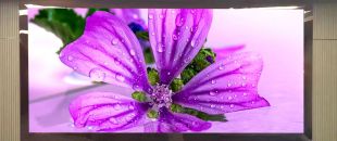 連鎖火鍋店老板哭訴：門頭LED廣告機讓我多賺了110萬，但千萬別學我踩這3個坑！”