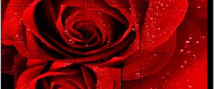 店員瘋狂發(fā)傳單，顧客卻頭也不抬？LED廣告機(jī)‘強(qiáng)制吸睛’的5個心機(jī)設(shè)計”